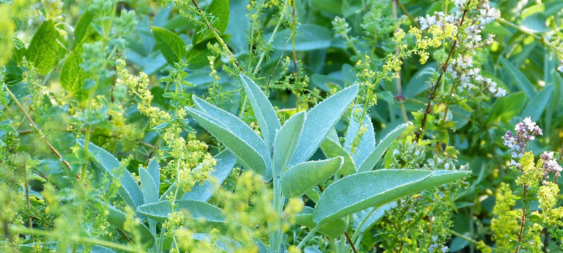 image14.png